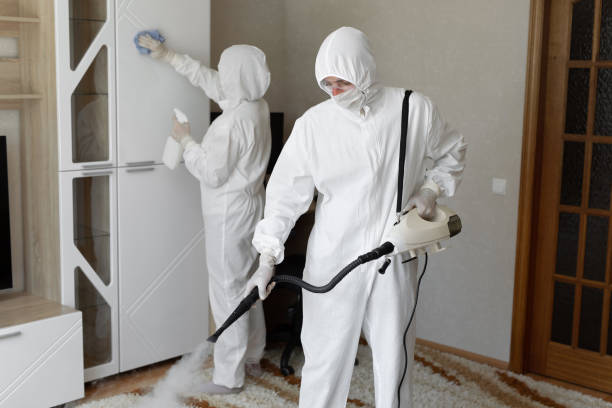 Professional Mold Removal in Clearwater, FL